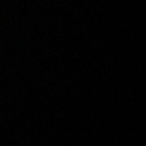 Meet your Posher, Noah